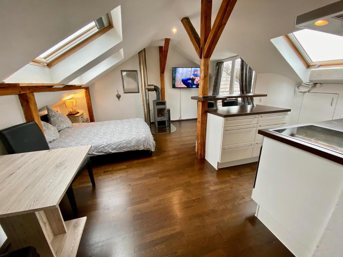 Wohnen Ueber Den Daechern Von Ravensburg, Stadtnah, Kamin, Klima Apartment Ngoại thất bức ảnh